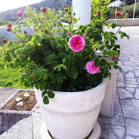 Διαμέρισμα Lina